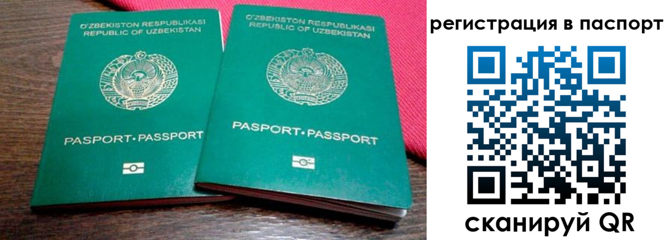 временная регистрация купить в Тайге
